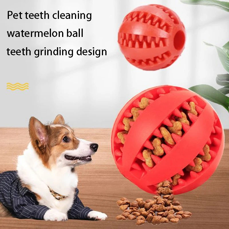 Dog Chew Toy – Interactive Treat & Tooth Cleaning Ball