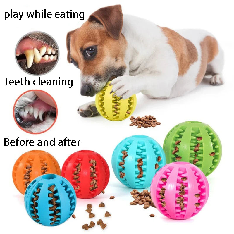 Dog Chew Toy – Interactive Treat & Tooth Cleaning Ball