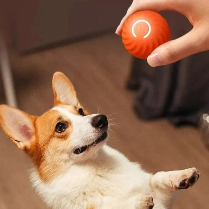 USB Smart Dog Toy Ball - Automatic Moving & Bouncing Interactive Chew Toy