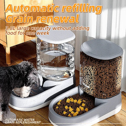 Automatic Pet Feeder